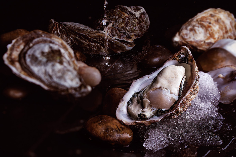 千歲融合，日本壽司+法式鐵板燒，北辰品牌設(shè)計(jì)