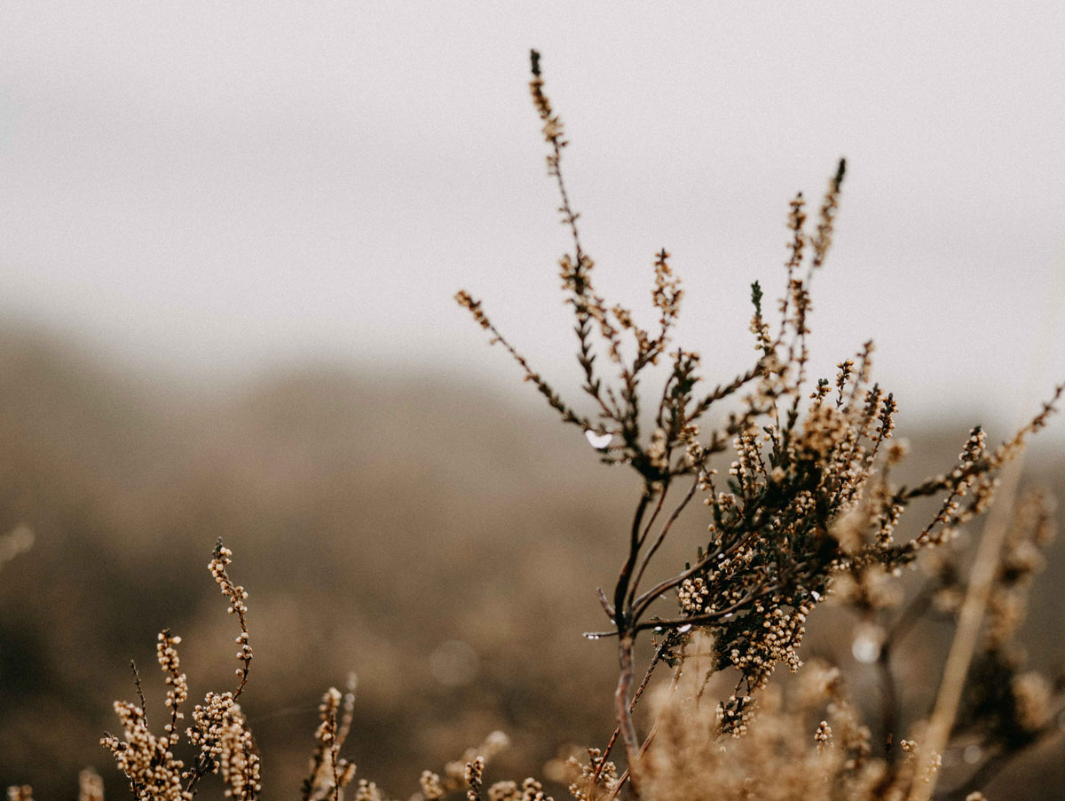 深圳平面設(shè)計(jì)