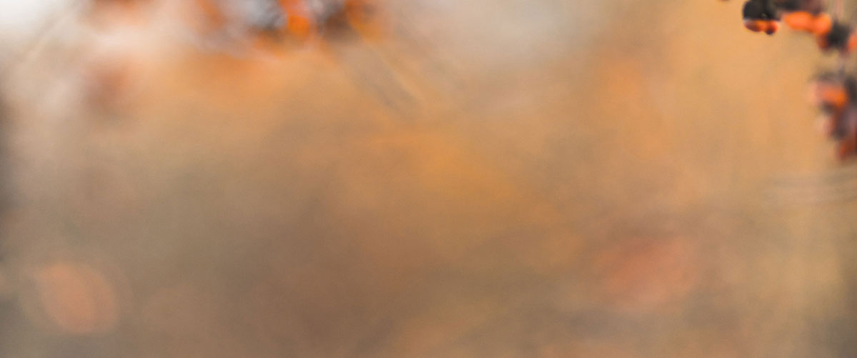 深圳包裝設(shè)計公司