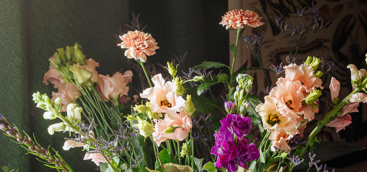 品牌策劃設(shè)計(jì)公司