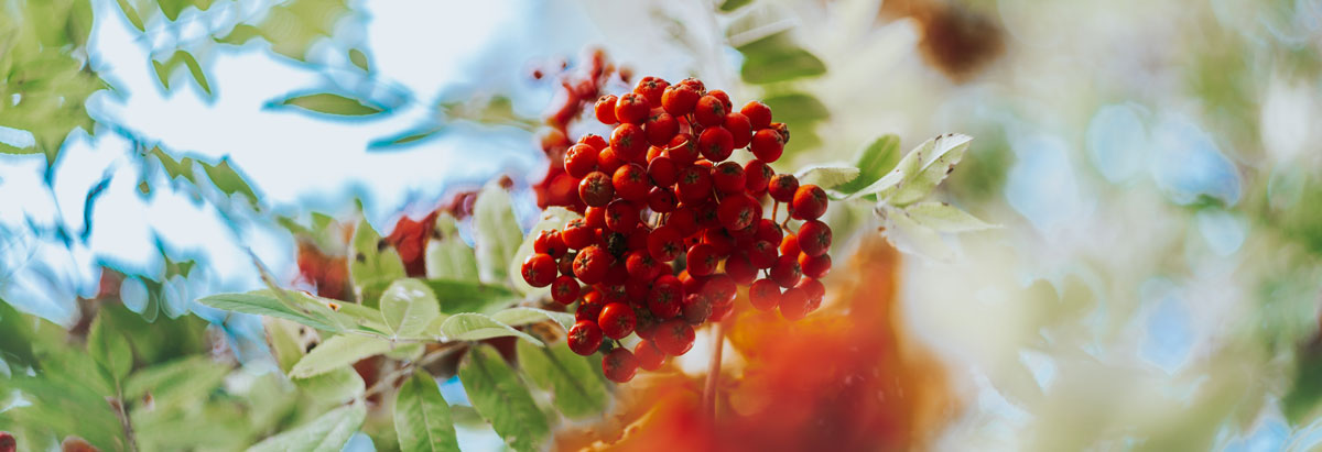 深圳包裝設(shè)計公司