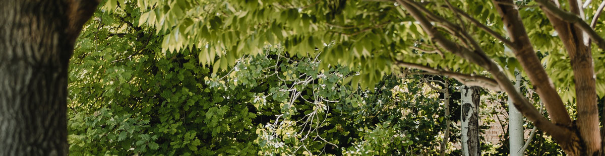 深圳包裝設(shè)計(jì)