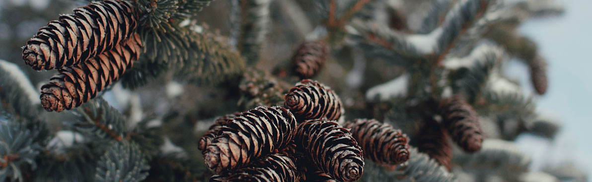 深圳平面設計公司