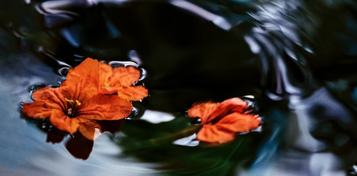 深圳包裝設(shè)計